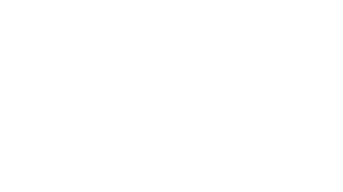 Eagle Drone Services logo