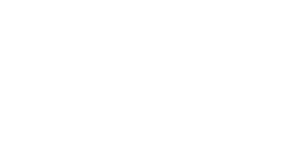 Eagle Drone Services